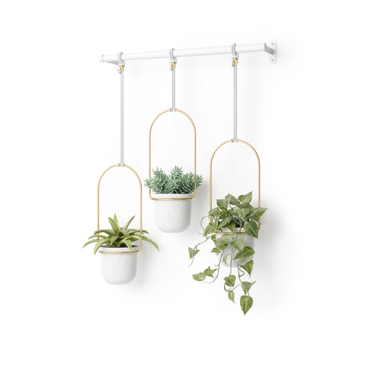 Triflora Hanging Planter - Set Of 3 - White/Brass