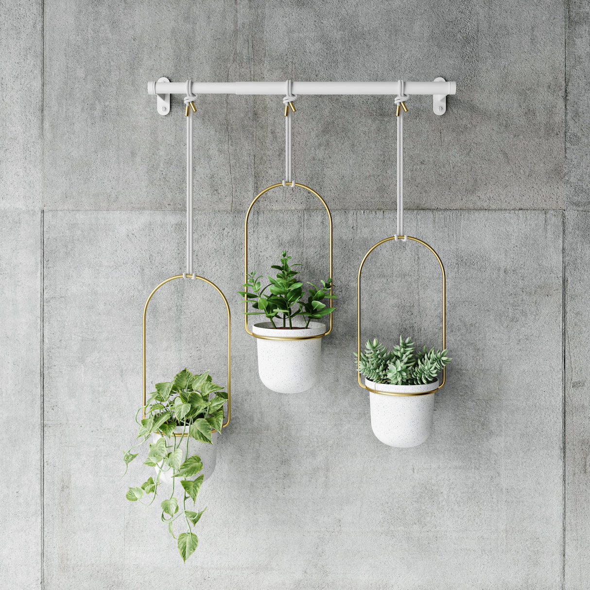 Triflora Hanging Planter - Set Of 3 - White/Brass