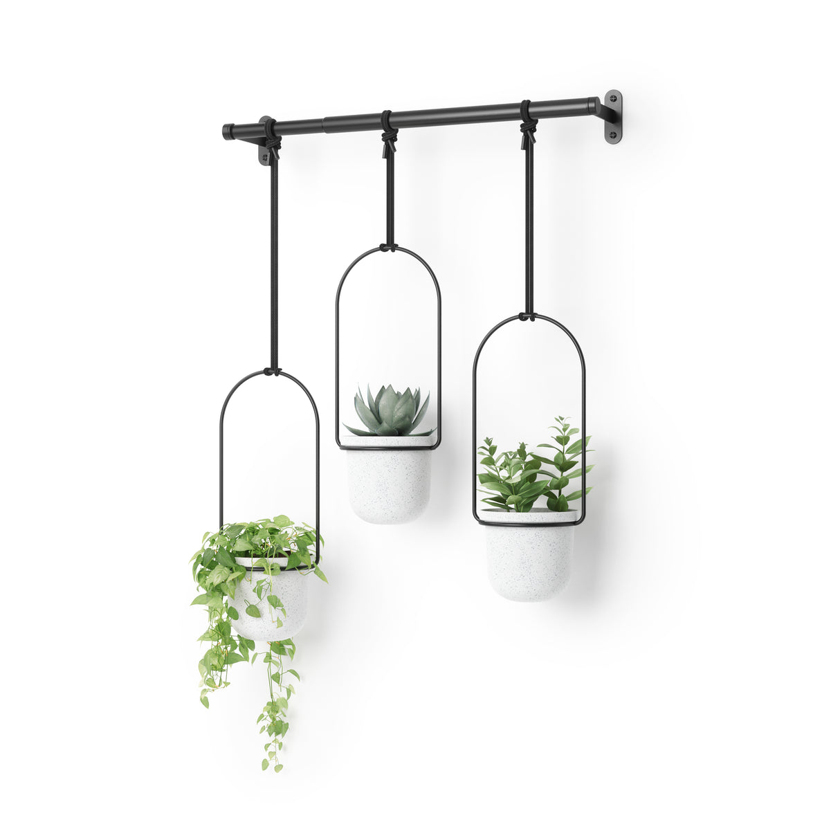 Triflora Hanging Planter - Set Of 3 - White/Black