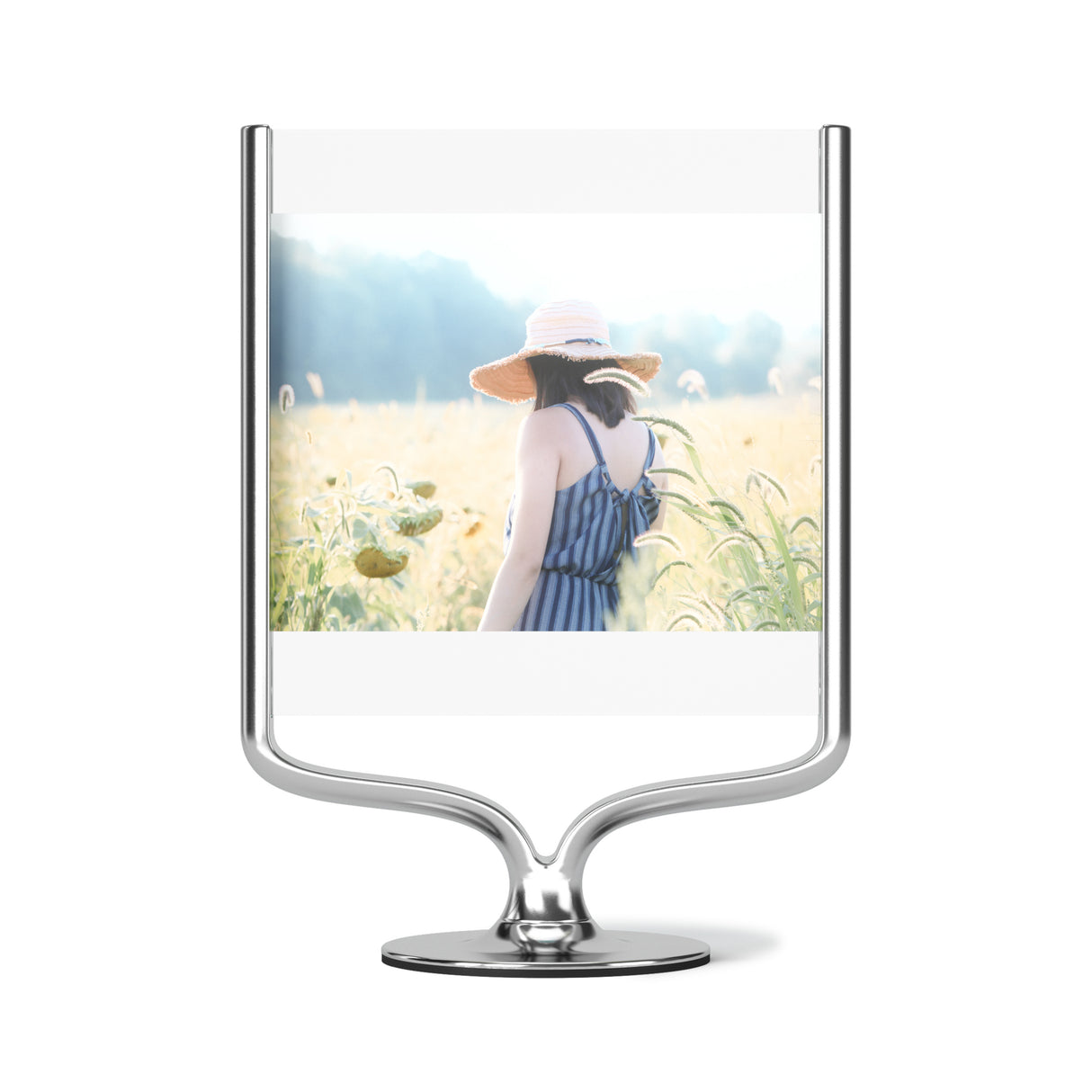 Wishbone Photo Display - Chrome